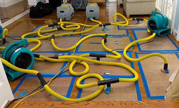 Professional Crawl Space Water Removal technician working in Gilman, CT